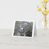 Cherry Tree Floral Blume Geburtstag Grüße Karte (Gelbe Blume)