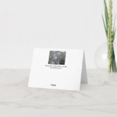 Cherry Tree Floral Blume Geburtstag Grüße Karte (Rückseite)