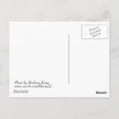 Cherry Tree Postcard Postkarte (Rückseite)