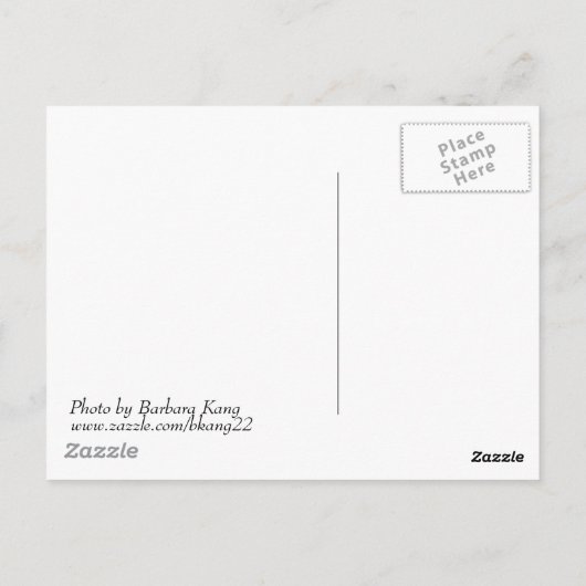 Cherry Tree Postcard Postkarte (Rückseite)