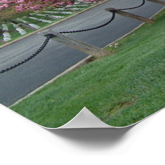 Cherry Tree Poster (Ecke)