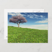Cherry Tree Postkarte (Vorne/Hinten)