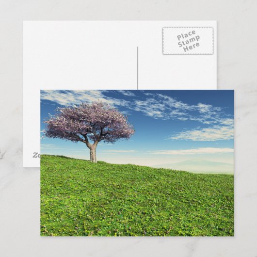 Cherry Tree Postkarte (Vorne/Hinten)