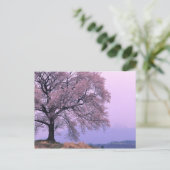 Cherry Tree Postkarte (Stehend Vorderseite)