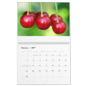 Cherry und Berry Saisonobst Kalender (Feb 2027)