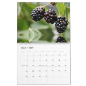 Cherry und Berry Saisonobst Kalender (Mär 2027)