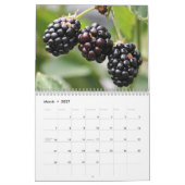 Cherry und Berry Saisonobst Kalender (Mär 2027)