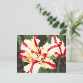 Cherry Vanille! Postkarte (Stehend Vorderseite)