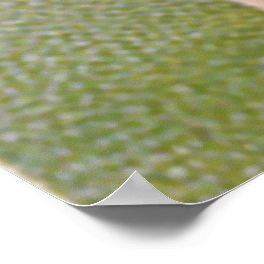 Cherub Cupid Herzinfarkt Valentine Poster (Ecke)