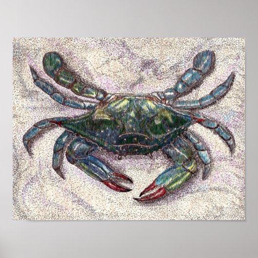 Chesapeake Bay Blue Crab Poster (Vorne)