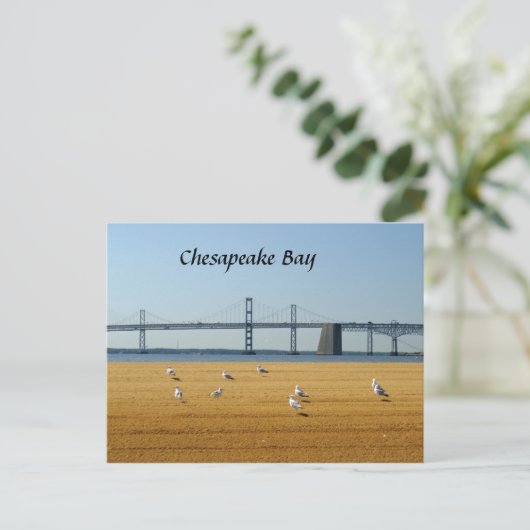 Chesapeake Bay Bridge Postkarte (Stehend Vorderseite)