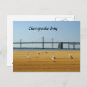 Chesapeake Bay Bridge Postkarte (Vorne/Hinten)