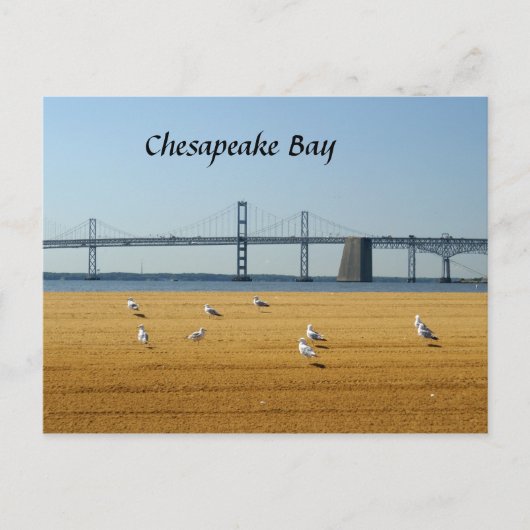 Chesapeake Bay Bridge Postkarte (Vorderseite)