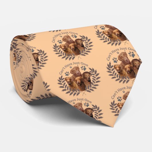 Chesapeake Bay kann gerade ein nicht haben Krawatte (Gerollt)