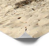 Chesapeake Bay Poster (Ecke)