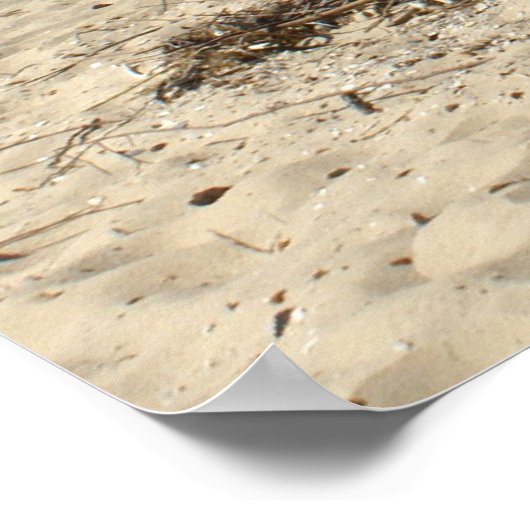 Chesapeake Bay Poster (Ecke)