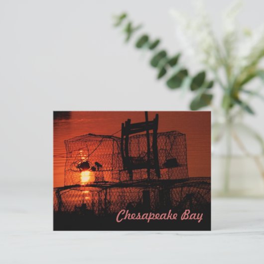 Chesapeake Bay Postkarte (Stehend Vorderseite)
