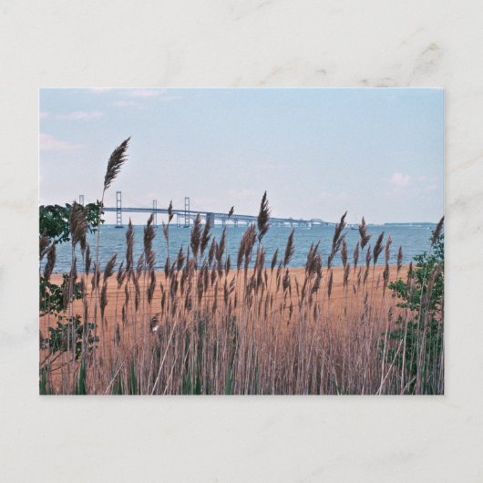 Chesapeake Bay Postkarte (Vorderseite)