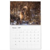 Chesapeake Bay Retriever 2026 Kalender (Feb 2027)