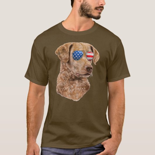 Chesapeake Bay Retriever American USA Flag 4. T-Shirt (Vorderseite)