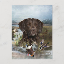 Chesapeake Bay Retriever, Art Feiertagspostkarte