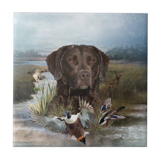 Chesapeake Bay Retriever, Art Fliese (Vorderseite)