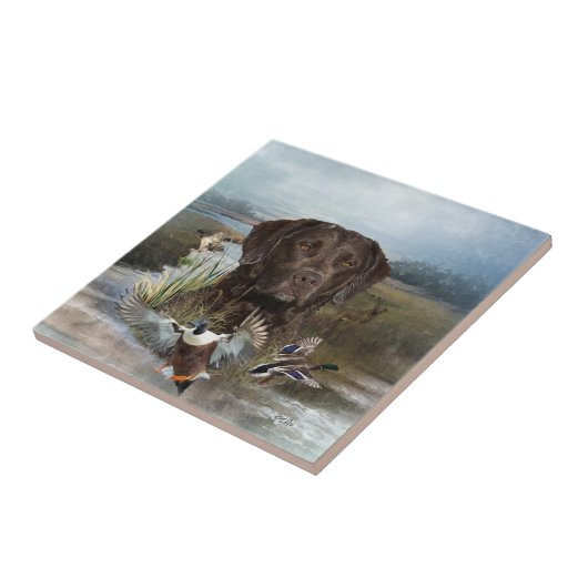 Chesapeake Bay Retriever, Art Fliese (Seite)