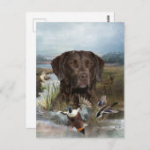 Chesapeake Bay Retriever, Art Postkarte (Vorne/Hinten)