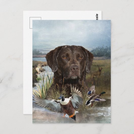 Chesapeake Bay Retriever, Art Postkarte (Vorne/Hinten)