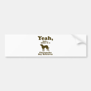 Chesapeake Bay-Retriever Autoaufkleber