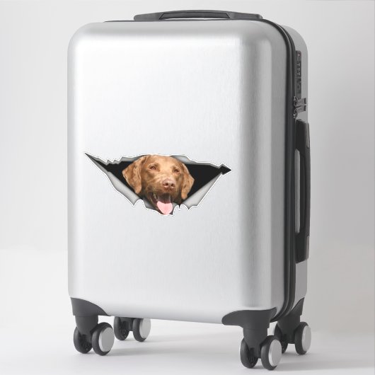 Chesapeake Bay Retriever decal, Dog Sticker (Koffer)