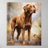 Chesapeake Bay Retriever Dog Art Print Poster (Vorne)