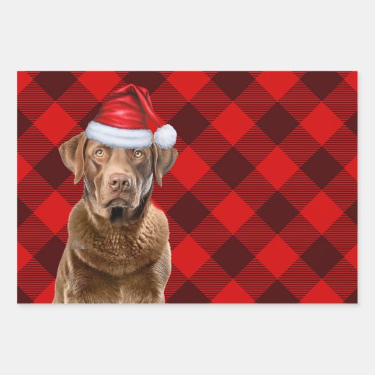 Chesapeake Bay Retriever Dog Holiday Kariert Geschenkpapier Set (Vorderseite 3)