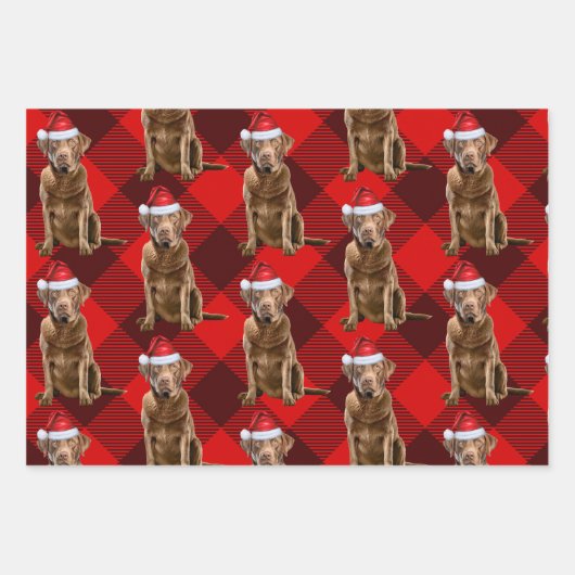 Chesapeake Bay Retriever Dog Holiday Kariert Geschenkpapier Set (Vorderseite 2)