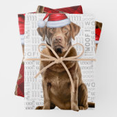 Chesapeake Bay Retriever Dog Holiday Kariert Geschenkpapier Set (Beispiel)