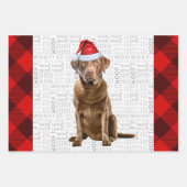 Chesapeake Bay Retriever Dog Holiday Kariert Geschenkpapier Set (Vorderseite)