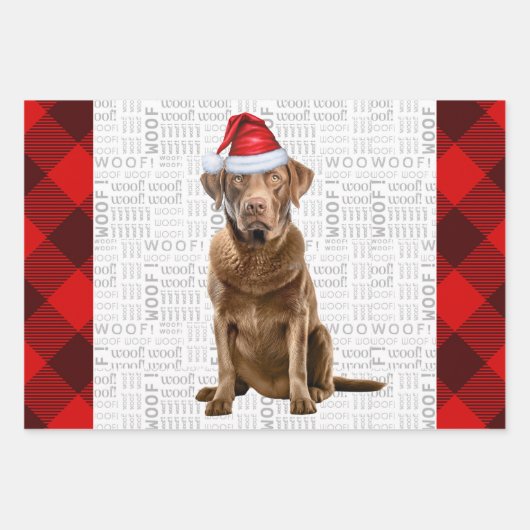 Chesapeake Bay Retriever Dog Holiday Kariert Geschenkpapier Set (Vorderseite)