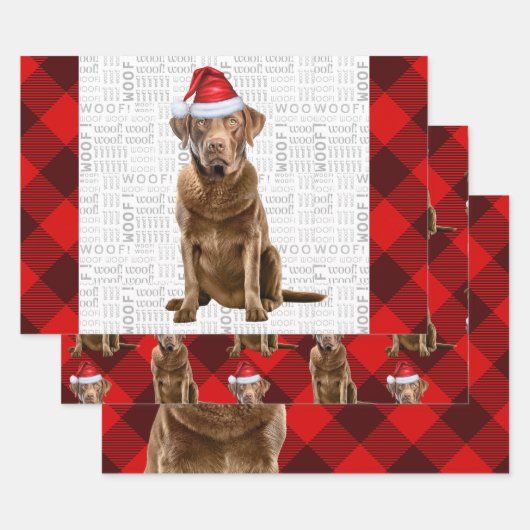 Chesapeake Bay Retriever Dog Holiday Kariert Geschenkpapier Set (Set)