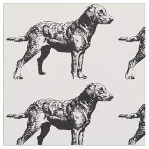 Chesapeake_Bay_Retriever_drawing.png Stoff