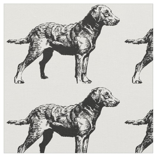 Chesapeake_Bay_Retriever_drawing.png Stoff (Nahaufnahme)