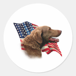 Chesapeake Bay-Retriever-Flagge Runder Aufkleber