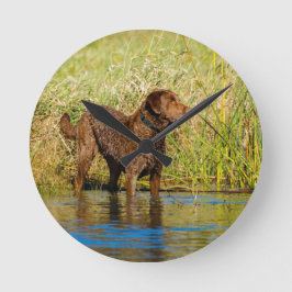Chesapeake Bay Retriever Hunting Dog Wall Clock Runde Wanduhr