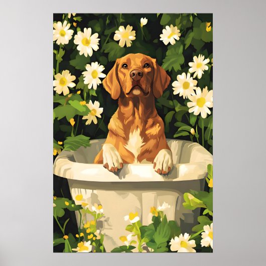 Chesapeake Bay Retriever In Bathtub Poster, Funny Poster (Vorne)