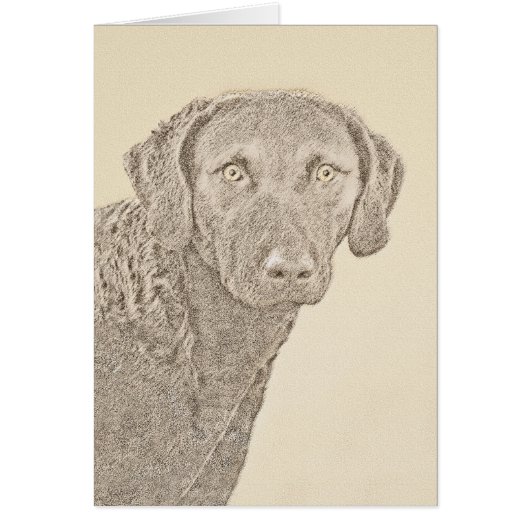 Chesapeake Bay Retriever Malerei Original Dog Art (Vorne)