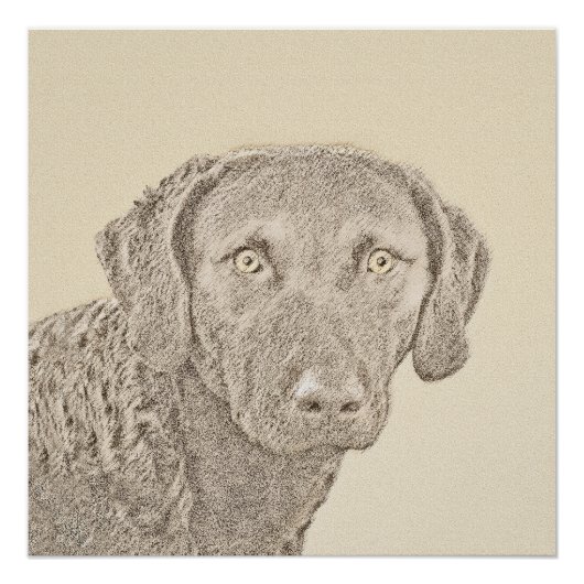 Chesapeake Bay Retriever Malerei Original Dog Art Poster (Vorderseite)