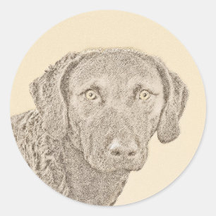 Chesapeake Bay Retriever Malerei Original Dog Art Runder Aufkleber