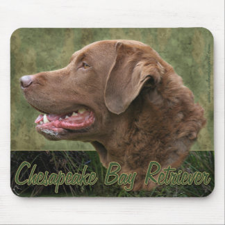 Chesapeake Bay-Retriever Mousepad