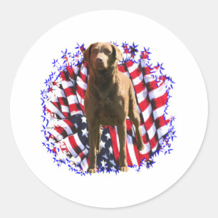 Chesapeake Bay Retriever Patriot Runder Aufkleber