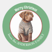 Chesapeake Bay Retriever Pup im Winter Sweater Runder Aufkleber (Vorderseite)