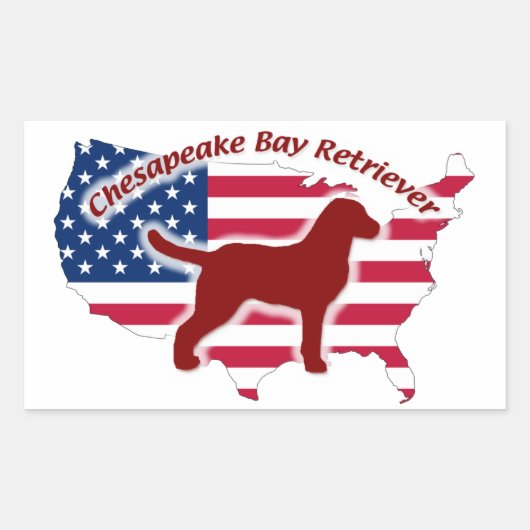 Chesapeake Bay Retriever Rechteckiger Aufkleber (Vorderseite)